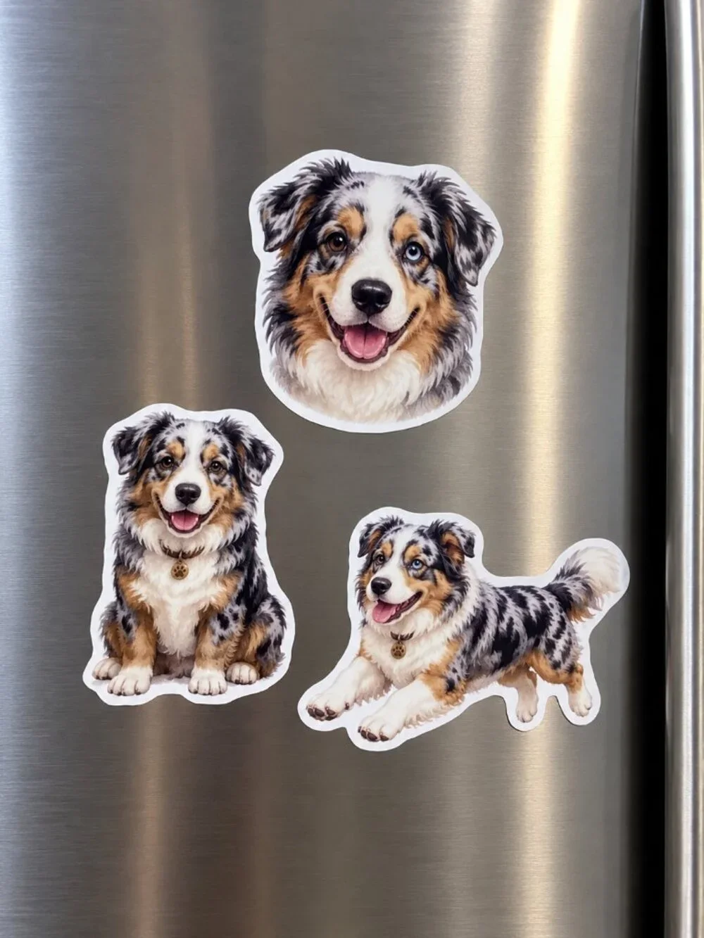 3 Australian Shepherd Dog Fridge Magnets Blue Merle Aussie Puppy Refrigerator Se